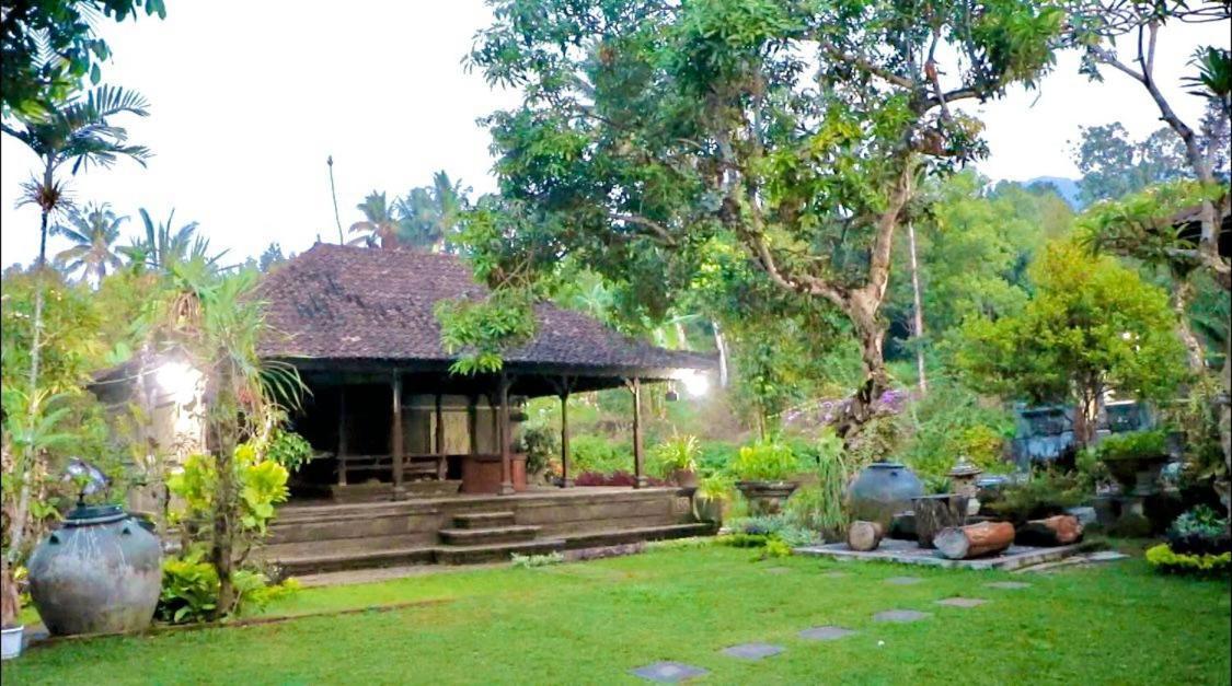 Mesari Cottage Guest House Pabean Buleleng Eksteriør bilde